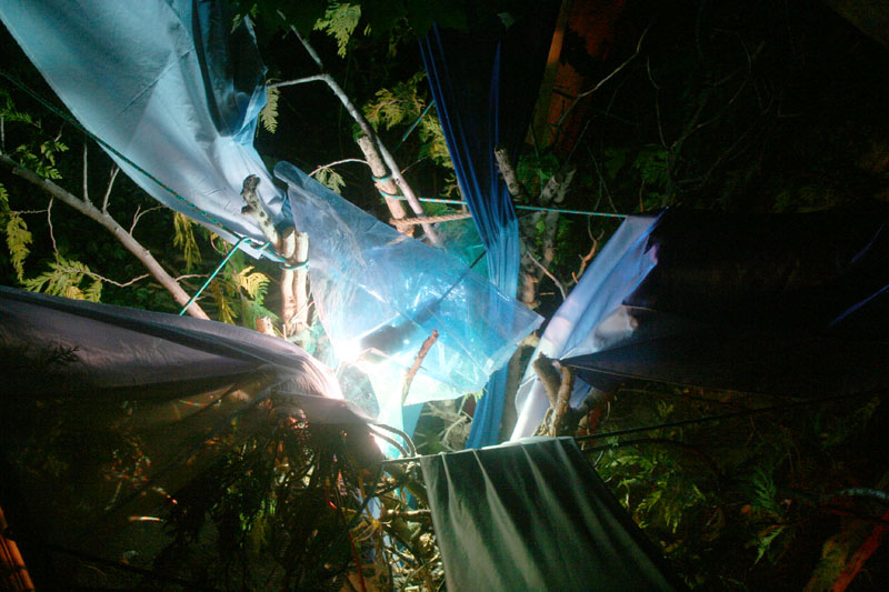 in the evening